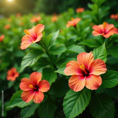 Wallpaper Mural Colorful hibiscus blooms in a lush green background, blooming flowers, flower field Torontodigital.ca