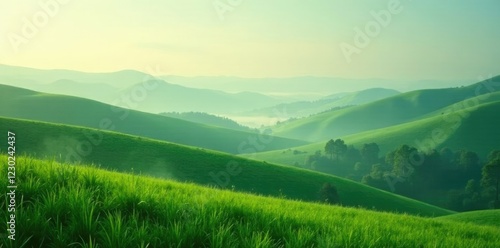 Rolling hills of emerald green amidst morning mist, hills, misty, soft light