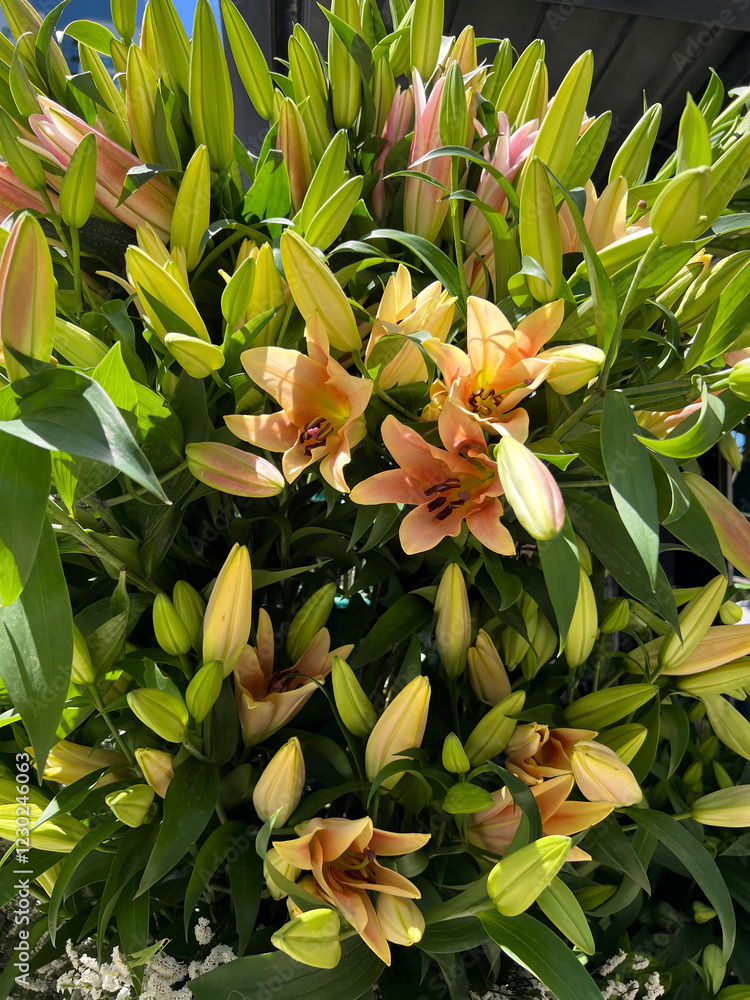Obraz premium Huge bouquet of beautiful lilies