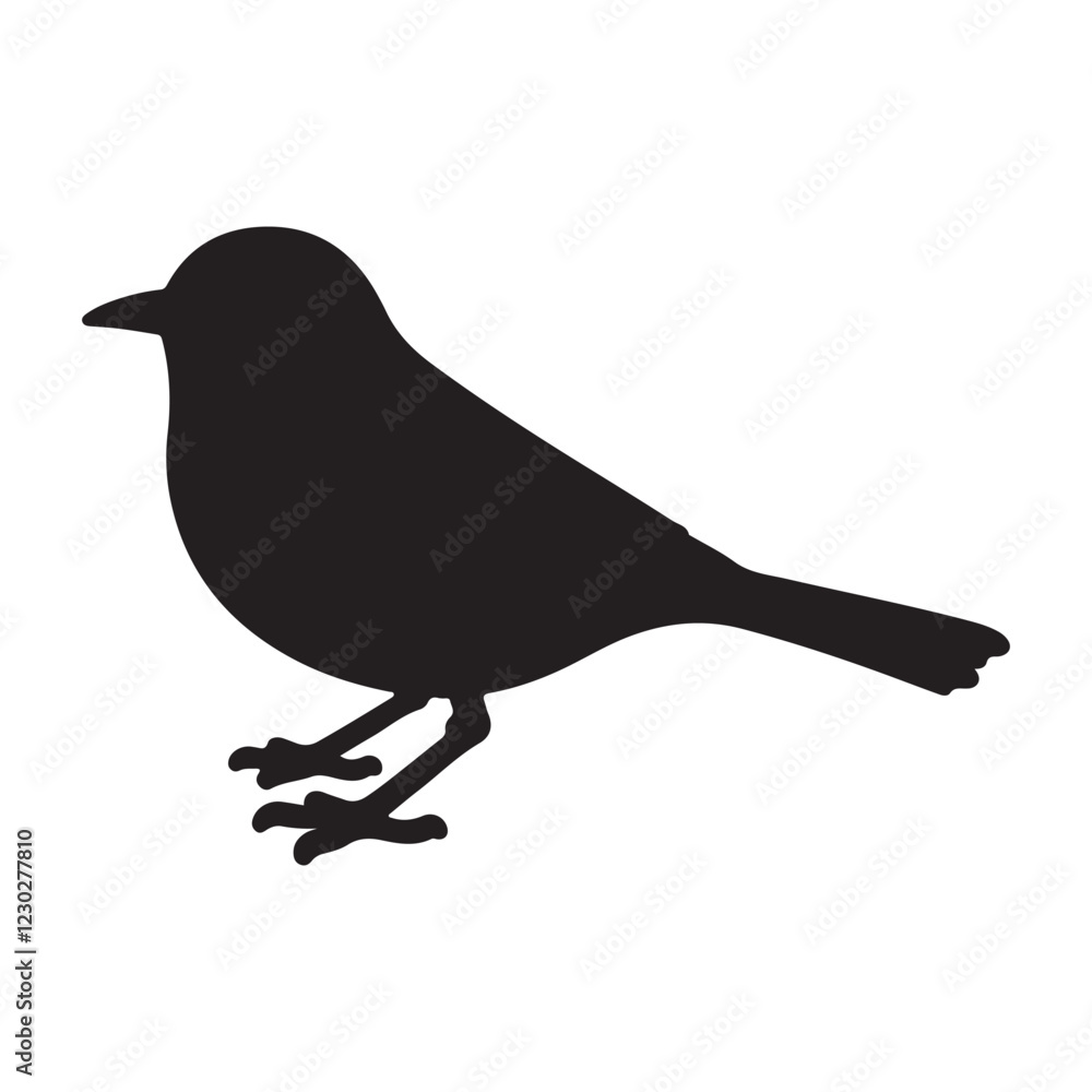 Fototapeta premium magpie robin silhouette on white background