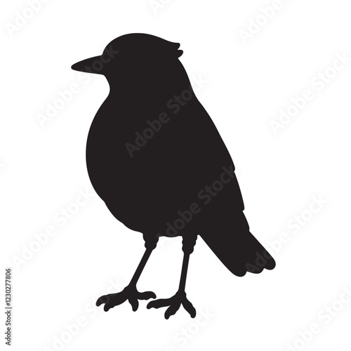 magpie robin silhouette on white background