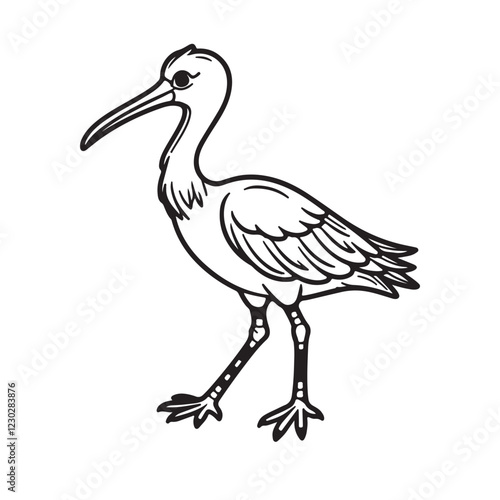 frigate bird line art vector