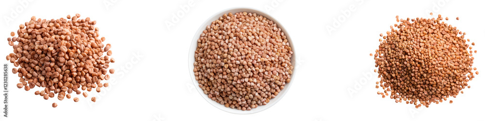 Buckwheat grain isolated on transparent background, PNG, set of Buckwheat grain isolated on transparent background, PNG, set of