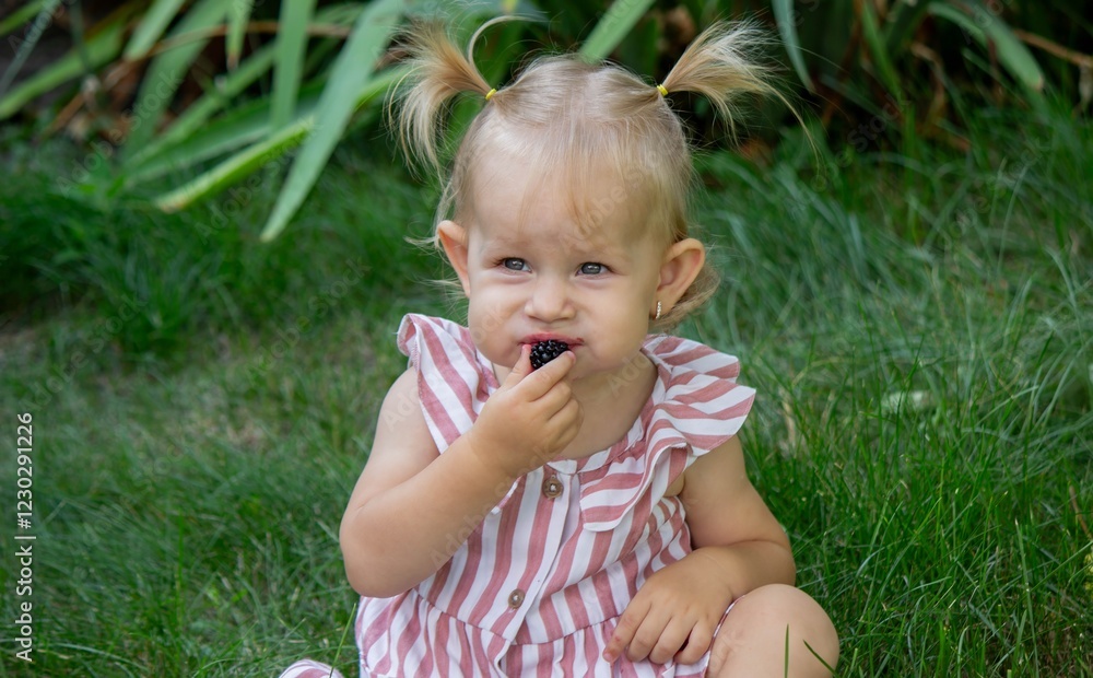 Little Girl Enjoying Fresh Blackberries in the Garden Little Girl Enjoying Fresh Blackberries in the Garden