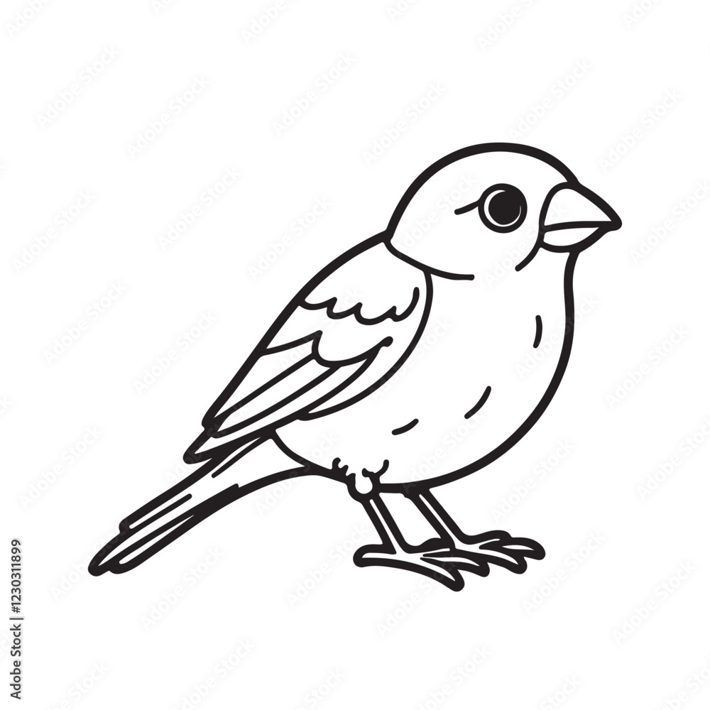 Fototapeta premium sparrow line art vector