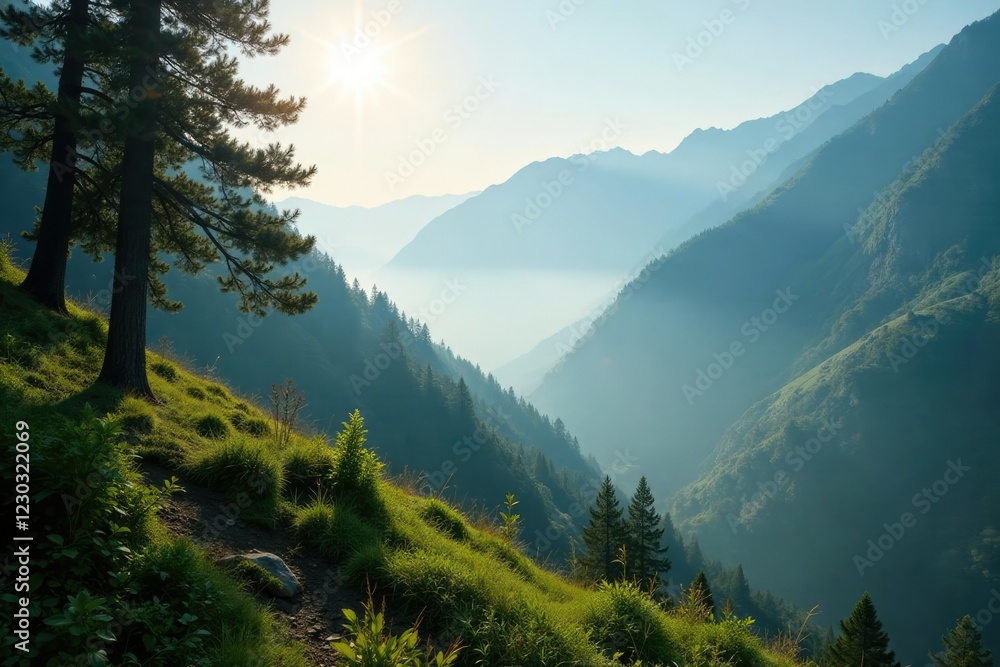 Obraz premium Dappled morning light filters through the Himalayan mountainside mist, shade, morning light, soft