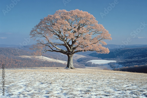 Warm Winter