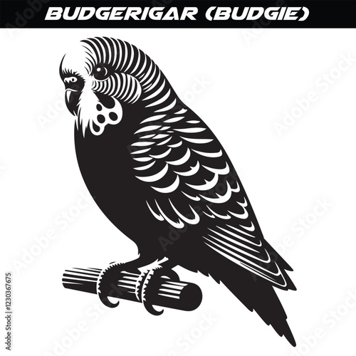 Budgerigar (Budgie) silhouette vector illustration design isolated on a white background.
