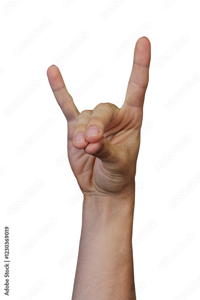 fist isolated on white background fist isolated on white background