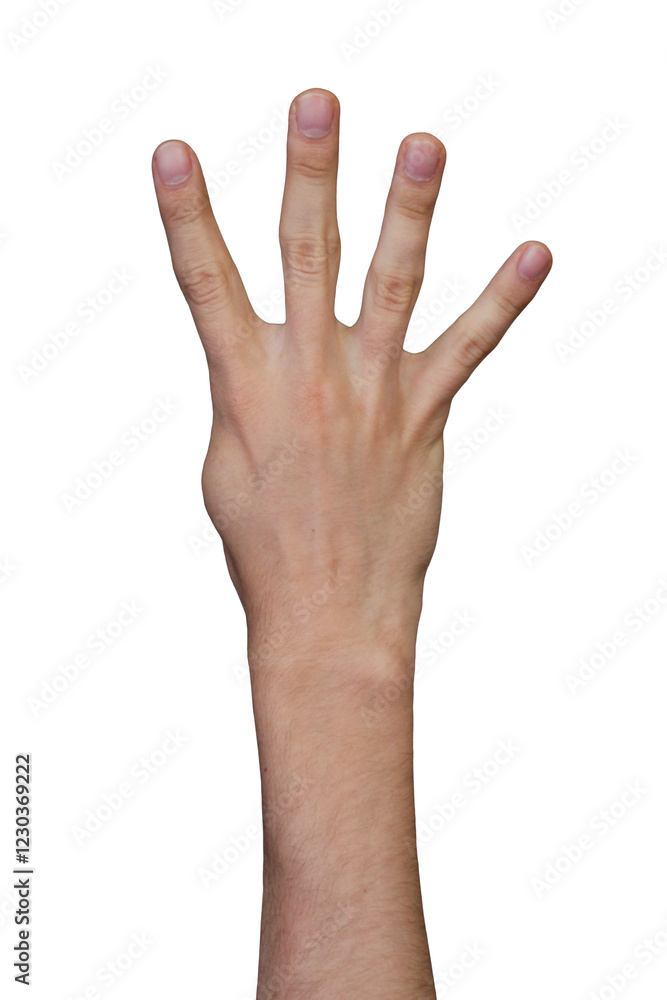 fist isolated on white background fist isolated on white background