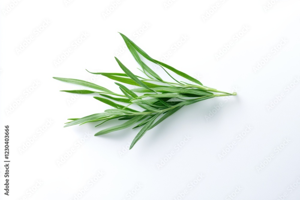 Dried tarragon on white background, isolated, herbal ingredient, culinary concept Dried tarragon on white background, isolated, herbal ingredient, culinary concept