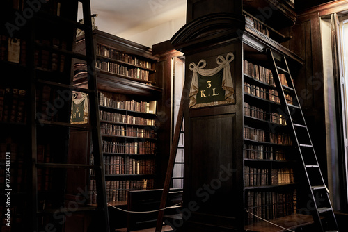 An elegant interior view of Marsh Library in Dublin, showcasing towering wooden bookshelves filled with antique books. 