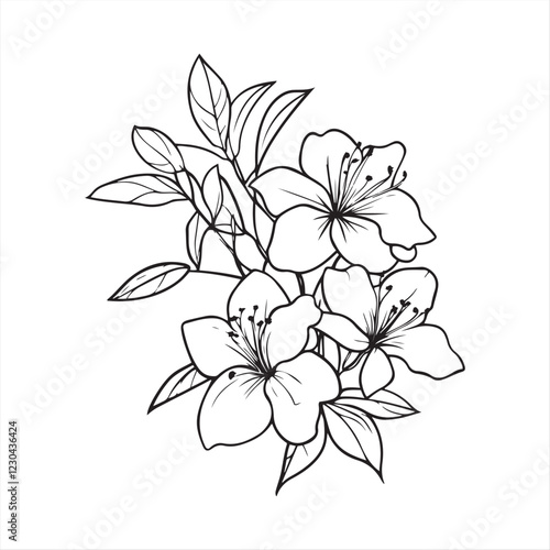 Cluster of Azalea Flowers , Detailed Botanical Line Drawing isolated vector on white background 
