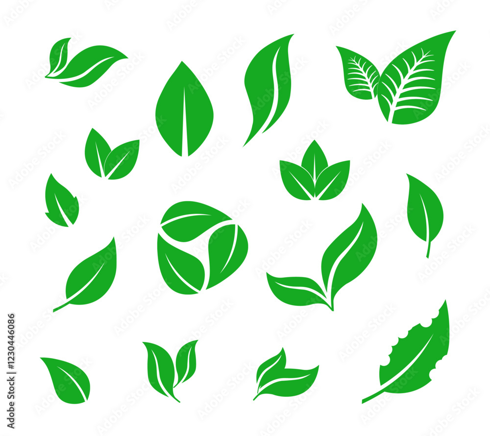 Green leaf icons set. Leaves icon on isolated background. Collection green leaf. 