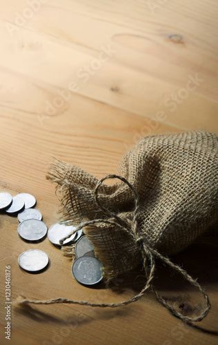 Silver coins in the bag