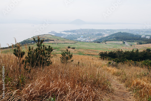 Udo Island, Jeju Island province, South Korea, Jeju-do, panoramic aerial view of coastline sea landscape in a sunny day, U-do Island, Soseom cow island, Jeju-si photo