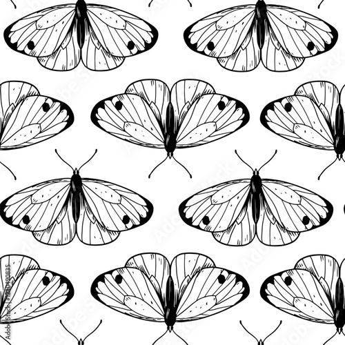 Butterfly, seamless pattern, set of hand drawn vector illustrations
