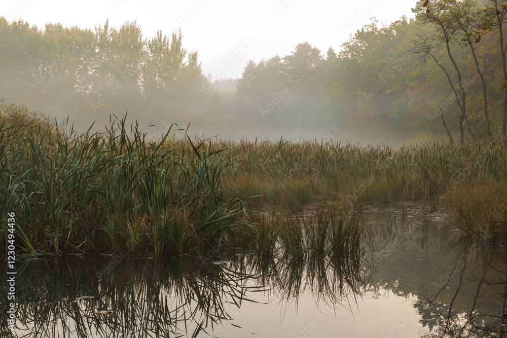 The backwaters of the Maria Spring. Gdynia, Poland. The backwaters of the Maria Spring. Gdynia, Poland.