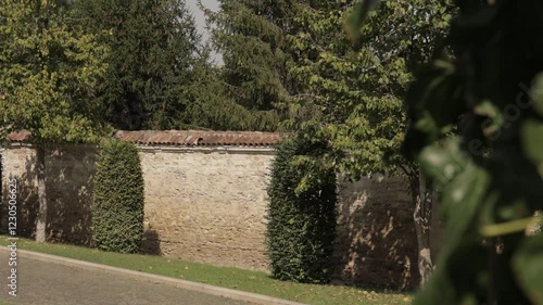Old Historic Wall in a Park Full of Trees