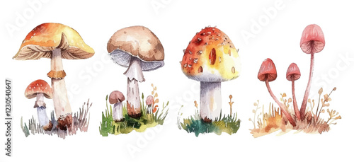 Mushrooms forest vector illustration. Poisonous toadstool fairy inedible mushrooms collection in hand drawn style. White toadstool, fly agaric or amanita isolated vector set.