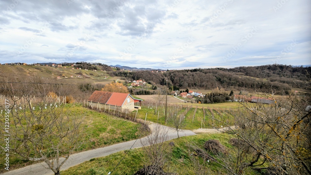 winter rural landscape scenery, vineyards at Klenice, Croatia, County Hrvatsko zagorje