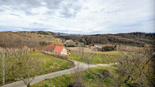 winter rural landscape scenery, vineyards at Klenice, Croatia, County Hrvatsko zagorje photo