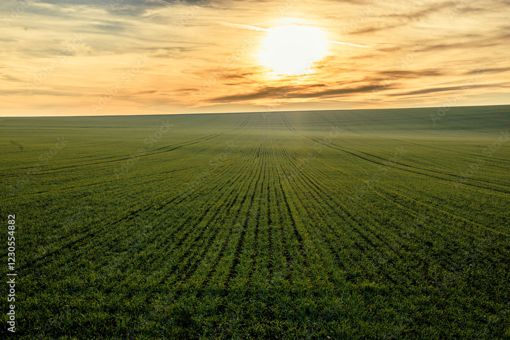 An extraordinarily beautiful sunset, a magical landscape on a green plain. An extraordinarily beautiful sunset, a magical landscape on a green plain.