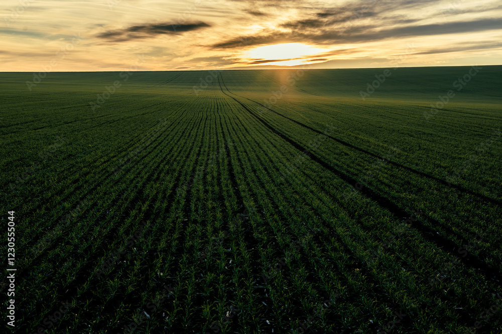An extraordinarily beautiful sunset, a magical landscape on a green plain. An extraordinarily beautiful sunset, a magical landscape on a green plain.