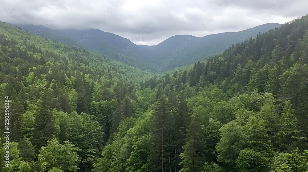 Fototapeta premium Lush Green Mountain Forest Landscape Panorama