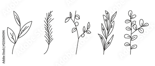 Twigs and leaves icon set. Botanical floral set in line style. Herbs, twigs, branches, flowers and leaves vector illustraton in transparent background.