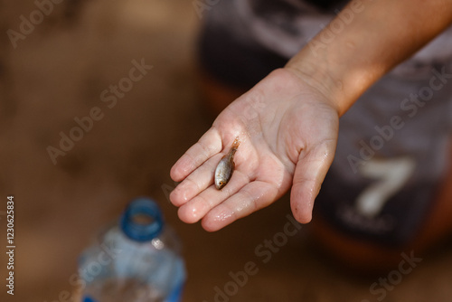 Boy hand with small fish. Fishing 