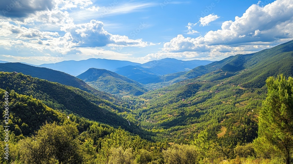 Breathtaking views of the beautiful summer valleys of the Tuscany region Breathtaking views of the beautiful summer valleys of the Tuscany region