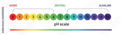 pH Meter Infographic. Acidic and Alkaline Spectrum Design PNG