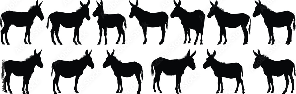 Donkey silhouette set vector design big pack of animal illustration and icon Donkey silhouette set vector design big pack of animal illustration and icon