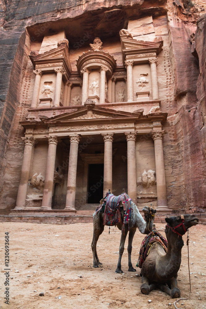 Naklejka premium A camel in front of an ancient treasury in Petra, Jordan.