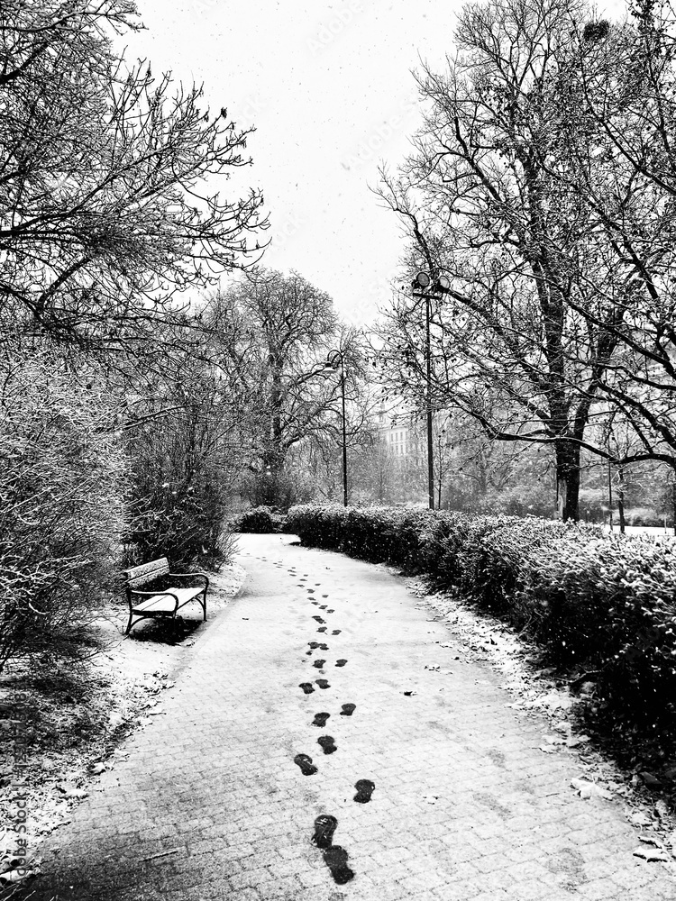 A peaceful winter walk in the park, with snow-covered paths and serene surroundings, creating a calm and picturesque scene perfect for a winter escape. A peaceful winter walk in the park, with snow-covered paths and serene surroundings, creating a calm and picturesque scene perfect for a winter escape.