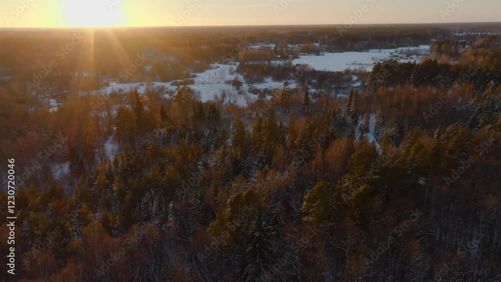 Golden sunlight illuminates a forest of snow covered trees during sunset, with open land and frozen water visible in the distance under a vast horizon. Golden sunlight illuminates a forest of snow covered trees during sunset, with open land and frozen water visible in the distance under a vast horizon.
