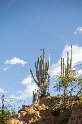 the Tatacoa Desert in Colombia, Huila, showcasing its arid landscape, eroded canyons, unique rock formations, and vibrant skies. Perfect for nature, travel, and adventure themes. photo