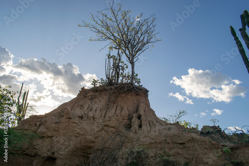 the Tatacoa Desert in Colombia, Huila, showcasing its arid landscape, eroded canyons, unique rock formations, and vibrant skies. Perfect for nature, travel, and adventure themes. photo