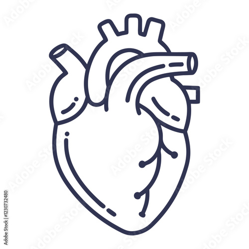 Anatomical heart icon with detailed structure on a white background copy space