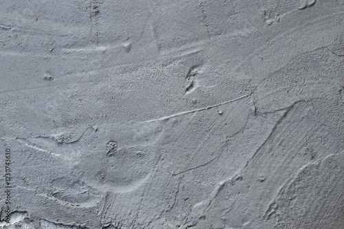Canvas-taulu Cementation of a garden path