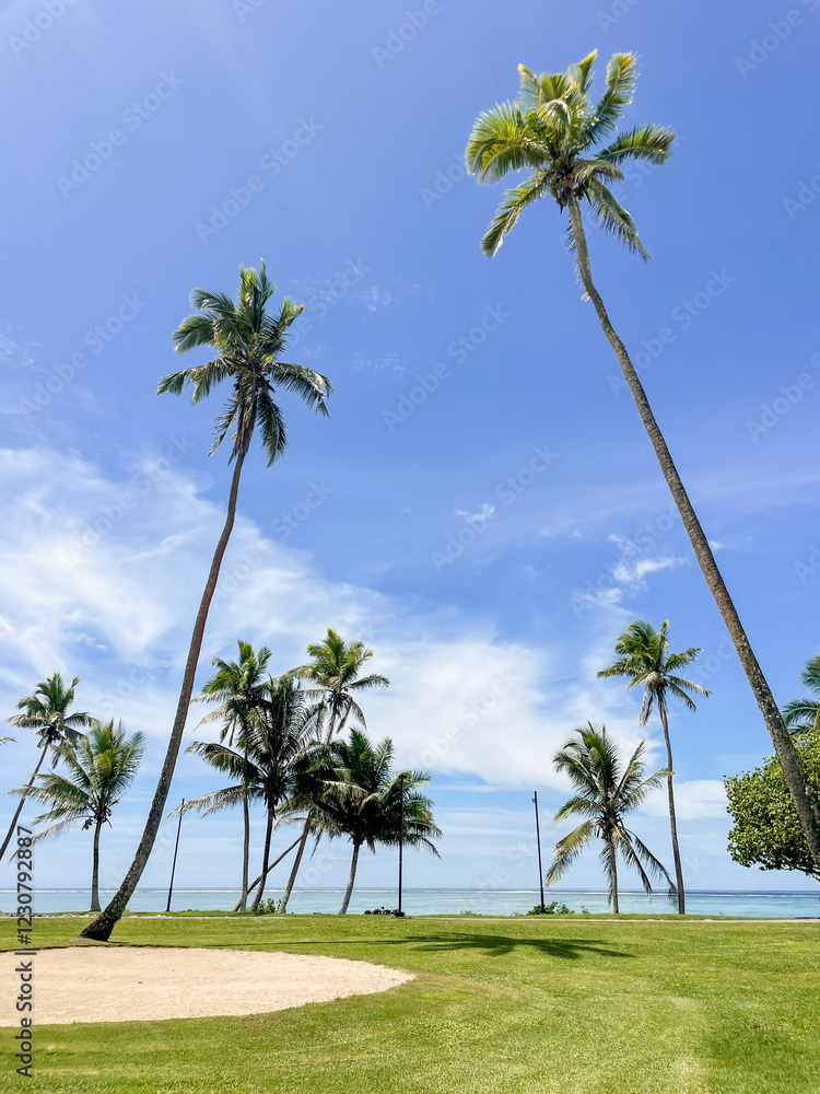 Naklejka premium palm trees on the beach