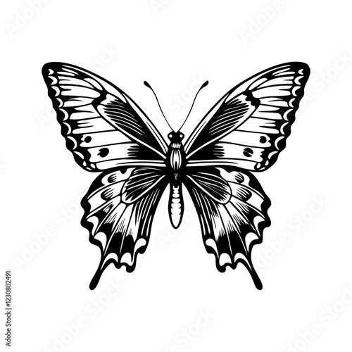 Beautiful butterfly vector illustration with wings flying in nature on a white background, black and white PNG  photo