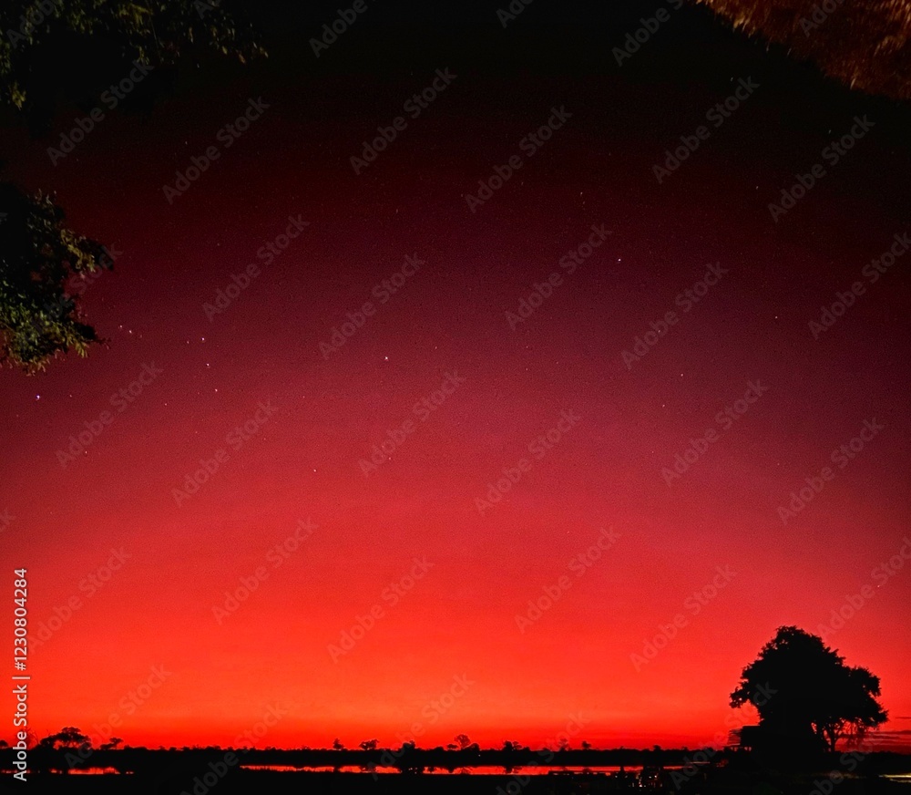 Fototapeta premium red sunset in africa 