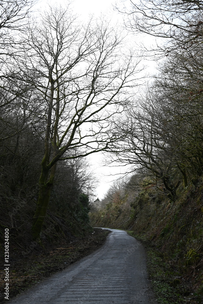 a walk on the granite way in Devon, a cycle route that was once a railway traveling though Dartmoor near Meldon a walk on the granite way in Devon, a cycle route that was once a railway traveling though Dartmoor near Meldon