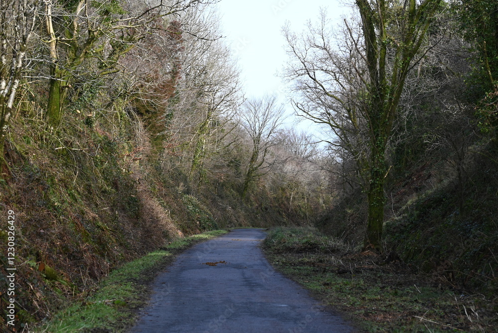 a walk on the granite way in Devon, a cycle route that was once a railway traveling though Dartmoor near Meldon a walk on the granite way in Devon, a cycle route that was once a railway traveling though Dartmoor near Meldon