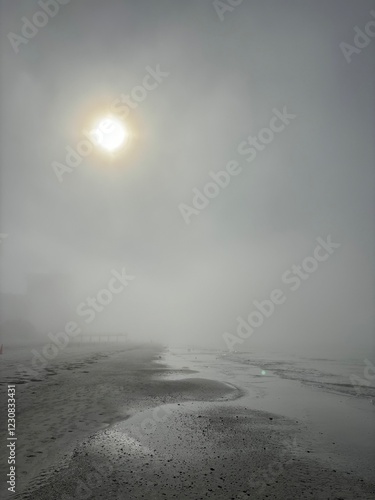 Beach with fog