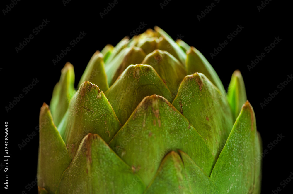 Closeup shot of the top of a raw artichoke against a black background Closeup shot of the top of a raw artichoke against a black background