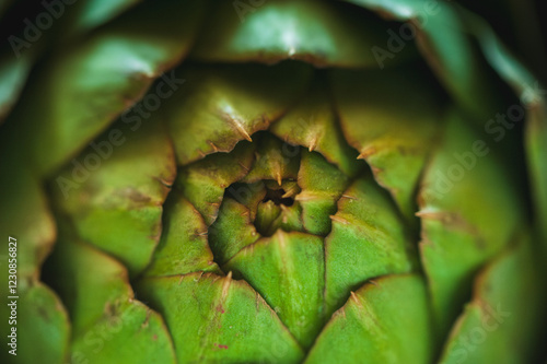 Closeup overhead shot of a raw artichoke, shallow focus