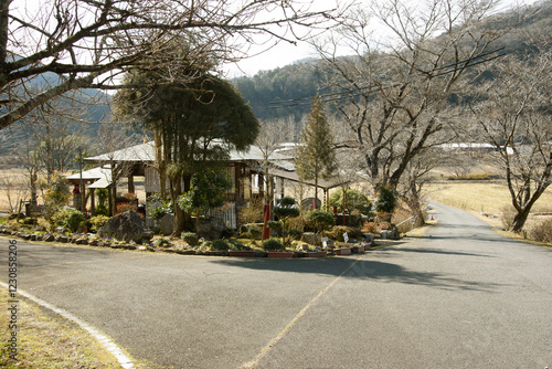  兵庫県宍粟市・葛根（カズラネ）腰痛地蔵石の橋がご本尊 photo